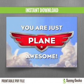 Planes Birthday Valentine Card